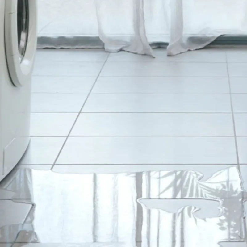 Appliance Leak Cleanup in Archer City, TX