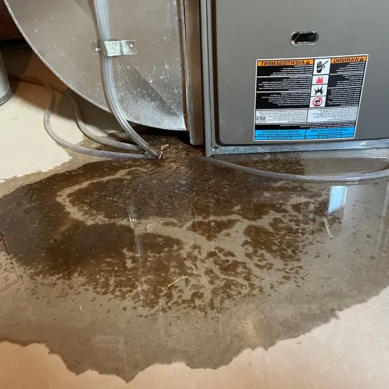 Pipe Burst and Leak Restoration in Archer City, TX