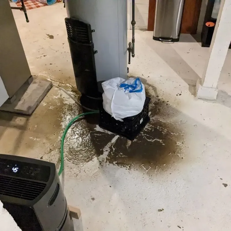 Sewage Backup Cleanup Service in Archer City, TX